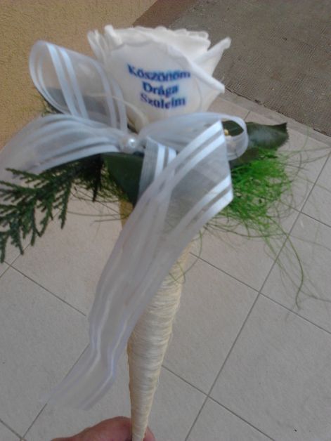 2012-05-11_18.16.32.jpg